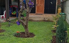 Cabaña Los Pajaritos dos de Frutillar
